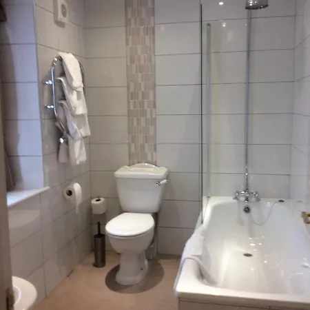 The Golden Lion Hotel 2*