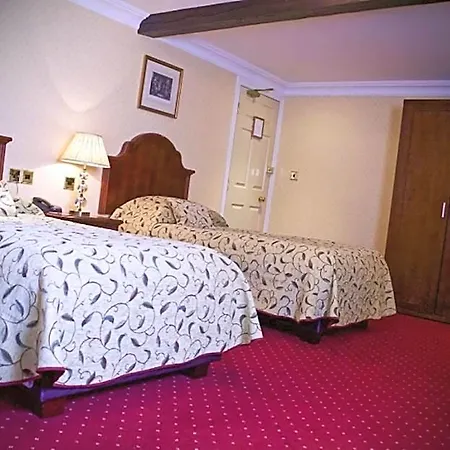 Hotel The Golden Lion 2*