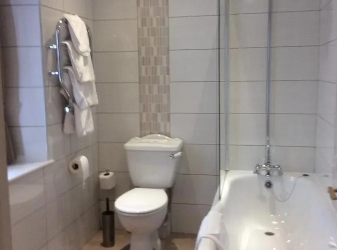 The Golden Lion Hotel 2*